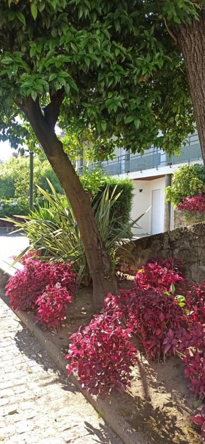 Pensao Continental Machado Hotel Caldelas Exterior photo